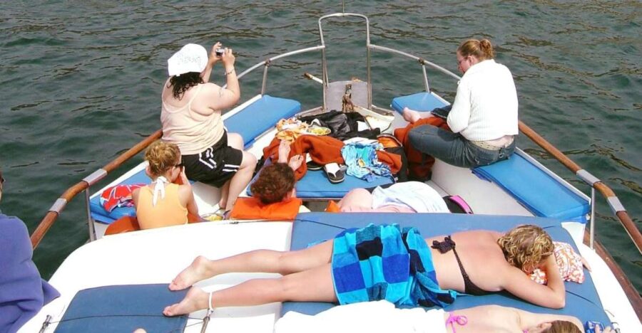 Palomino Islands Yacht Tour and Swim Alongside the Sea Lions - Tour Overview and Pricing