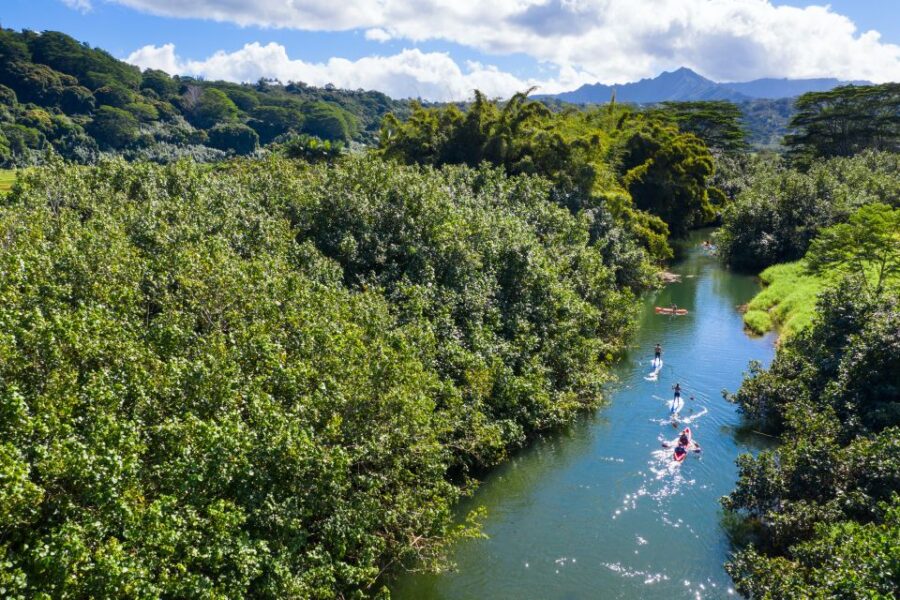 2 Best Canoe And Kayak Experiences In Palomino