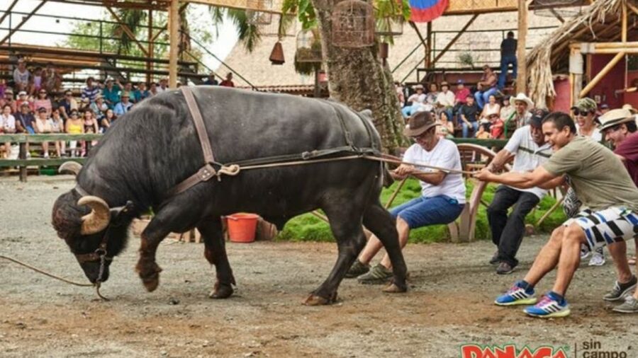 Panaca Park Tour From Pereira or Armenia - Tour Overview