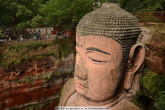 Panda Leshan Buddha Mt Emei 2 Days Trip Included 1 Night Stay