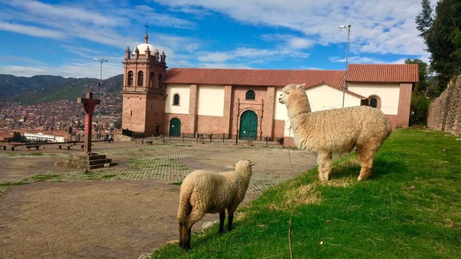 Panoramic Tour of Cusco With Folkloric Show | Cusco in Family - Tour Overview and Pricing