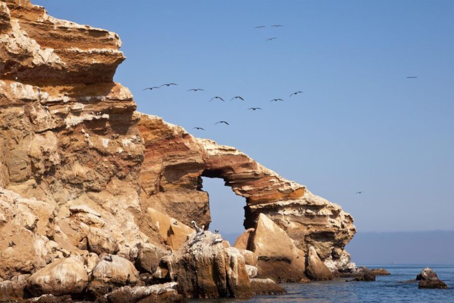 Paracas: Short Excursion to Ballestas Island | Sea Lions |