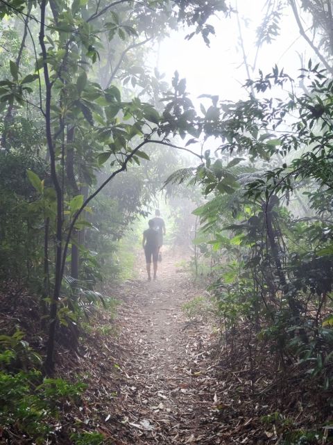 Parrot’s Beak: Fun Hike in Tijuca’s Forest