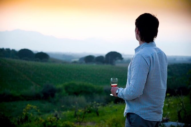Paso Robles Wine Adventure With Pickup From Morro Bay, CA