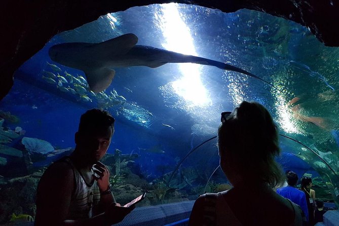Pattaya Underwater World – Discover Ocean Treasures