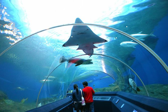 Pattaya Underwater World Tickets With Optional Hotel Pickup