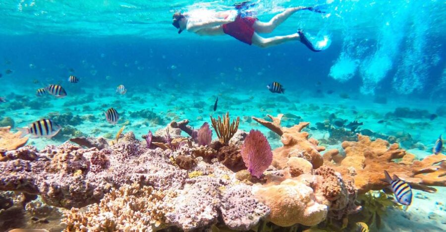 Pearl Island Beach: Full-Day Snorkelling With Lunch