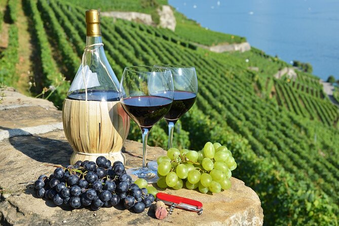 Peljesac Vineyards & Oysters – Private Day Trip From Dubrovnik-Mercedes Vehicle