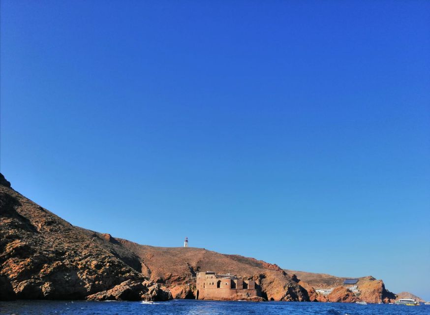 Peniche: Berlengas Island Round-Trip Ferry With Island Stop - Activity Overview and Pricing