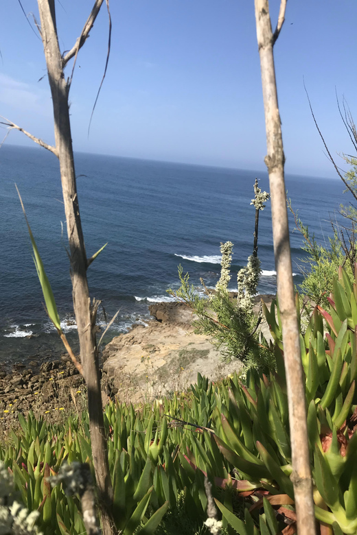 Peniche: Cliff Walking Tour All Along With Atlantic Ocean