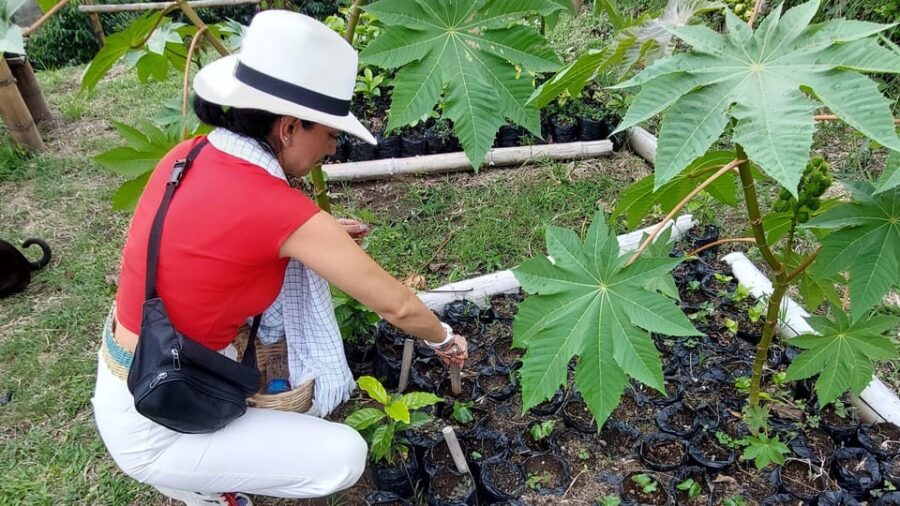 25 Best Coffee Tours And Tastings In Pereira