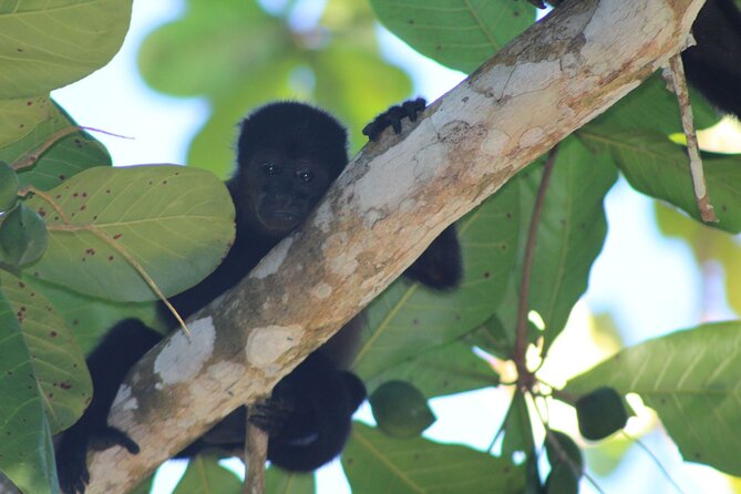 Personalized Private Tour Experience – Costa Rica