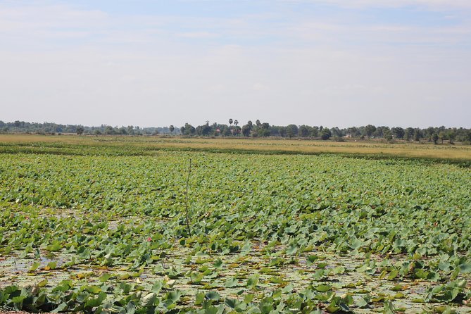 Phnom Penh to Siem Reap Cycling Tour