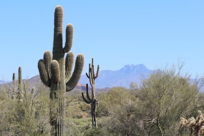 Phoenix Wilderness Hiking Tours