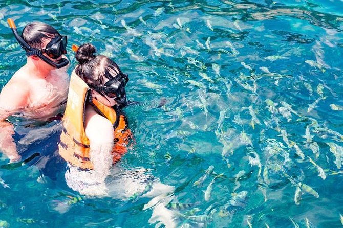 Phuket Dolphin Quest: Racha & Maiton Island Expedition