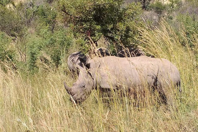 7 Best Safari Tours In North West