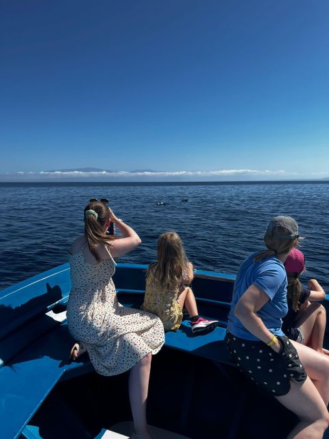 Pizzo: Fishing, Snorkeling, Dolphin Watching
