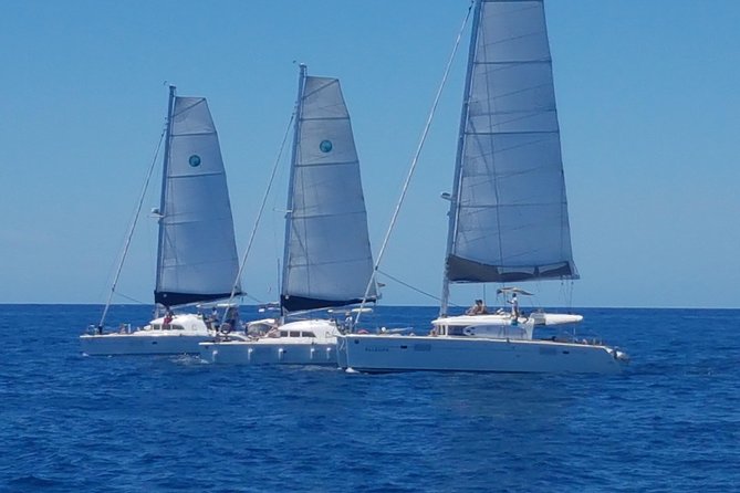 Playa Ses Platgetes Catamaran Private Trip