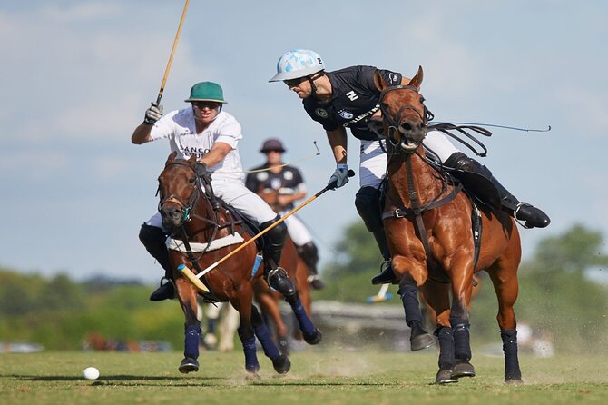 Polo Lesson Experience at Villa Maria With Argentinean Barbecue - Overview of the Polo Lesson Experience
