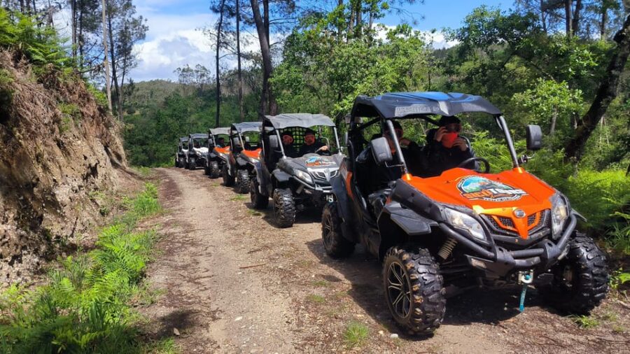 Pombal-Sicó: 120 Minutes OFF-ROAD Buggy Ride