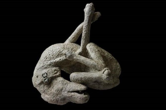 Pompeii: Living With the Volcano