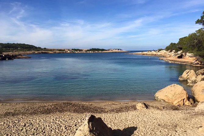 Port Des Torrent Catamaran Private Trip - Trip Overview