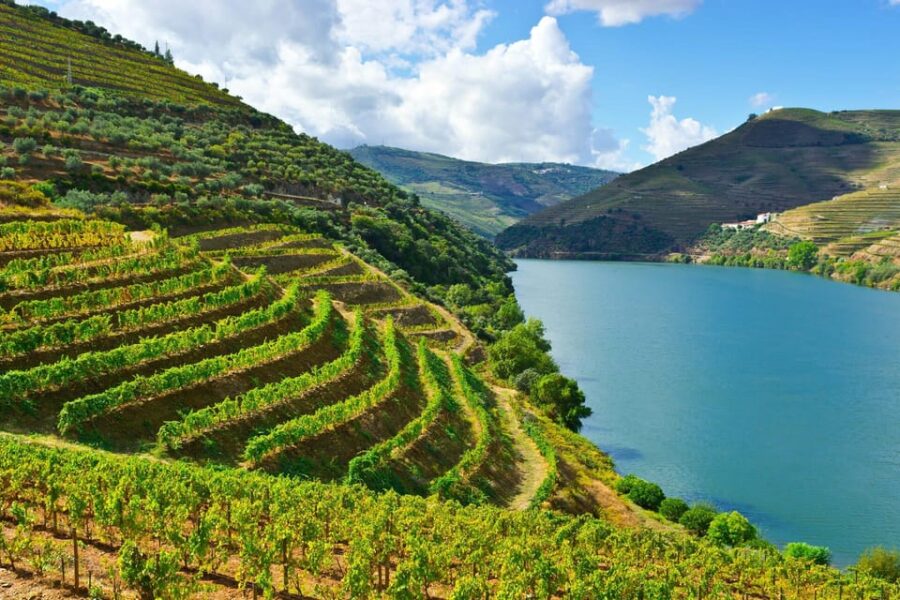 7 Best Cruises And Boat Tours In Sabrosa