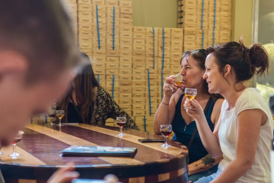 Porto: Magic Train Tour and Port Wine Tastings