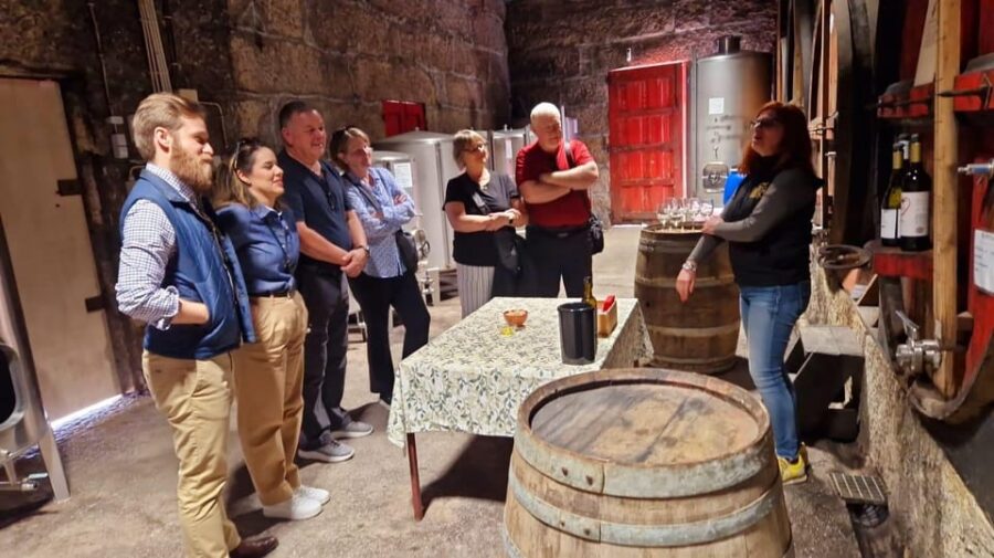 Porto: Premium Douro Valley Wine Tour, Cruise & Winery Lunch