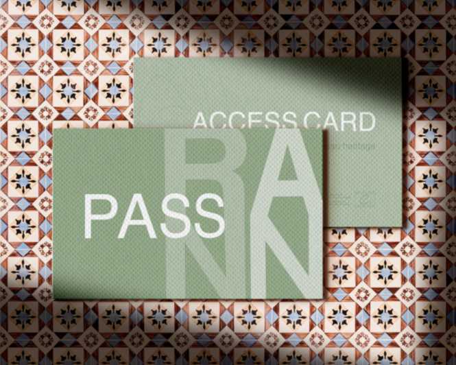 Porto to Aveiro & Costa Nova Day Trip Pass