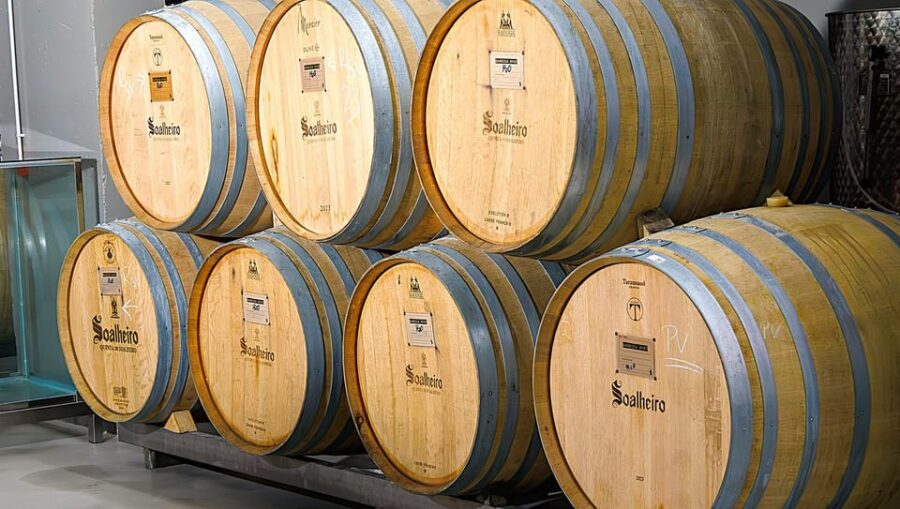 Porto: Vinho Verde Experience With 2 Wineries & Lunch