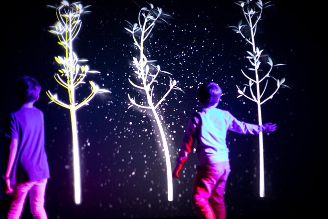 Prague Lumia Light Show With Gallery Ticket - Prague Lumia Light Show Overview
