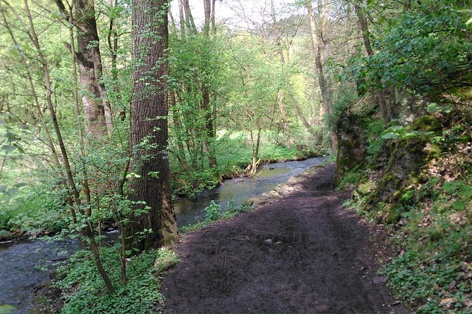 Prague Nature Highlights PRIVATE E-Bike Tour - Discover Pragues Scenic Highlights