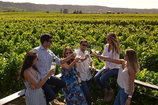 Pre or Post Valparaiso Cruise With Santiago City Tour and Optional Vineyard - Exploring Santiago