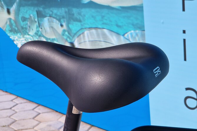 Premium Bike Rental in Barcelona