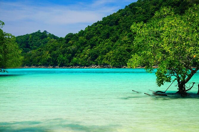 Premium Similan Island Day Trip With Lunch and Transfer Pick up