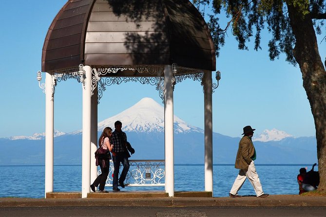 Premium Small-Group Half Day Tour to Frutillar in Puerto Varas