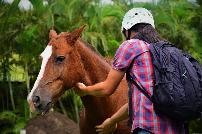 Premium Tour: Rincón De La Vieja Volcano Adventure Combo Tour