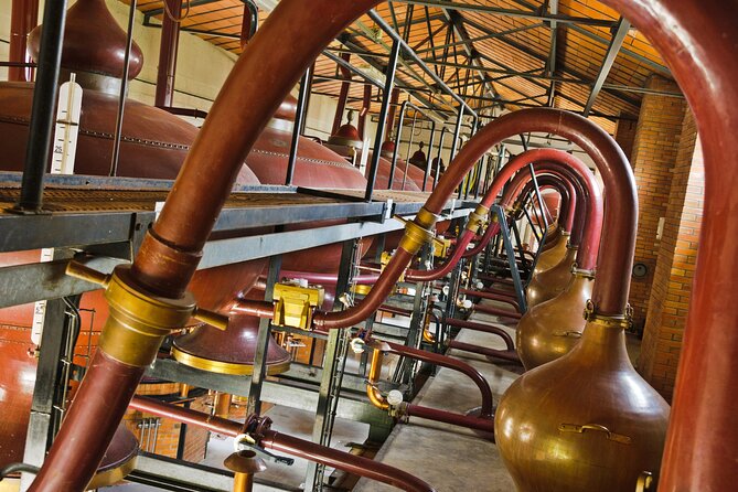Prestige Tour and Cognac Tasting - Overview of the Prestige Tour