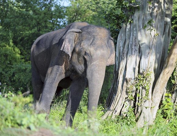 5 Best 2 Day Tours In Kandy