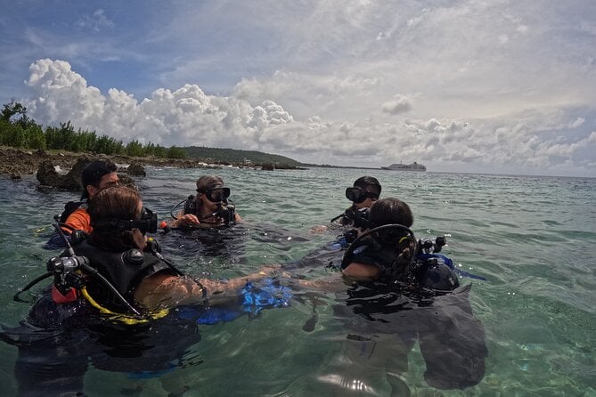 Private 2-Hour Diving Experience With Instructor