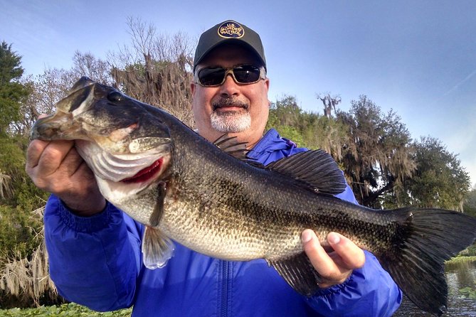 Private 8-hour Lake Toho Fishing Charter Near Kissimmee - Overview of the Fishing Charter