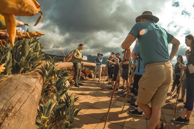 Private Arenal Volcano Lava Trails Experience