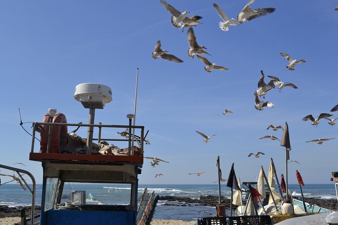 Private Best Fish Experience From Porto