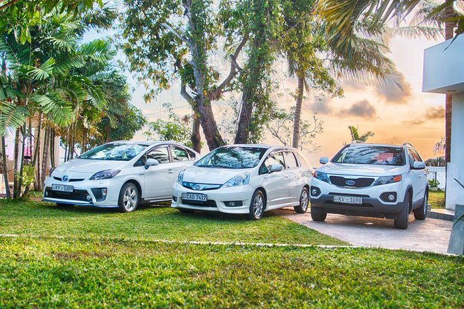 Private Car With Driver per Day - Service Overview
