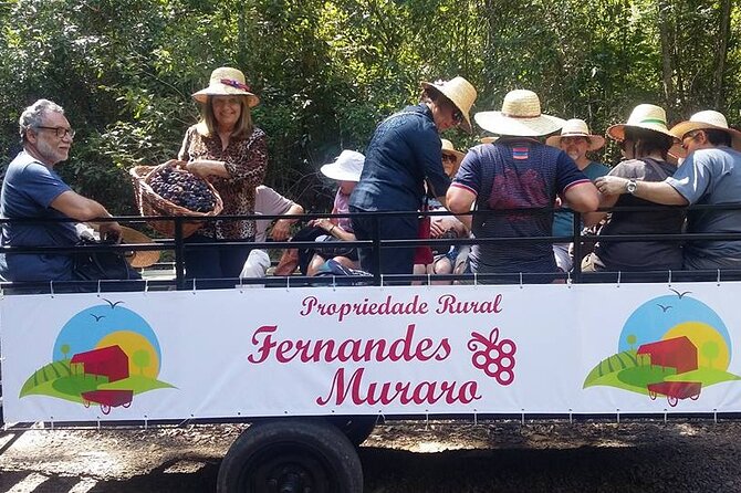 Private Carriage Ride in Flores Da Cunha