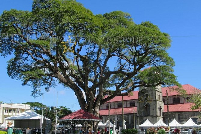 Private Castries or Shopping Tour/Transfers