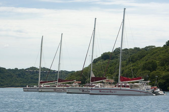 Private Catamaran Sailing Tour - Whats Included