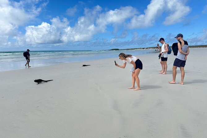 Private Charles Darwin Station Tour &Tortuga Bay Beach With Lunch - Discovering Tortuga Bays Pristine Beaches