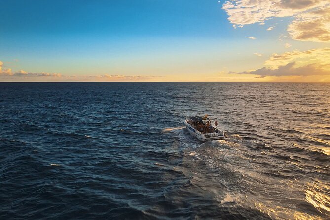 Private Charter 3 Hours Whale Encounter Puerto Colon Adeje - Tour Overview